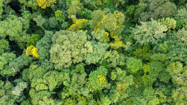 Quelles sont les nouvelles tendances de la consommation durable ?